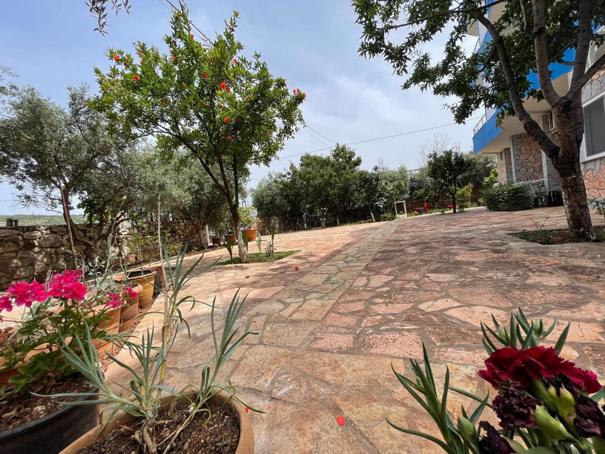 Vila Albi คซามิล ภายนอก รูปภาพ