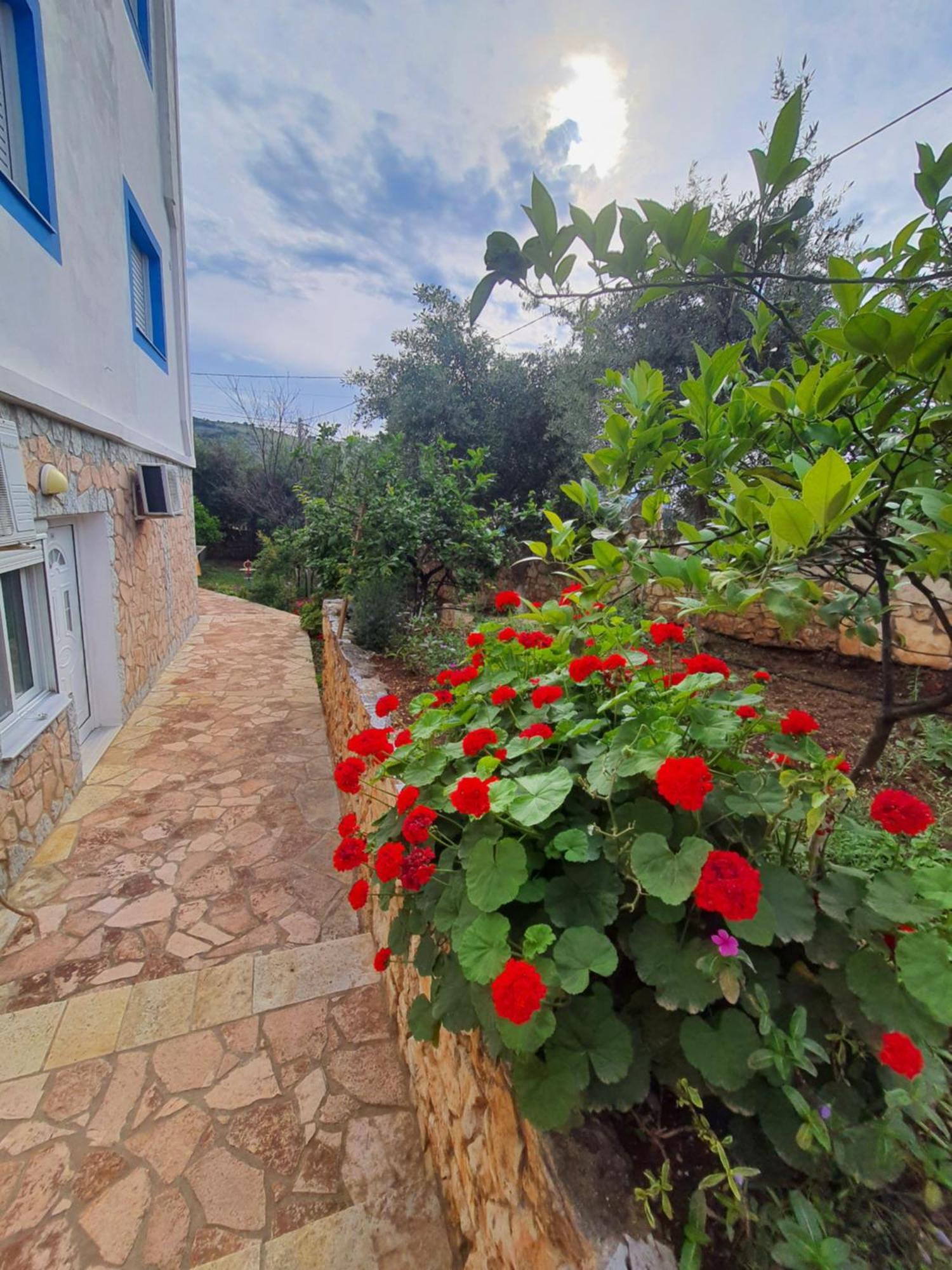 Vila Albi คซามิล ภายนอก รูปภาพ
